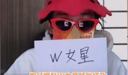 圈内爆料王鸥视频,揭秘娱乐圈背后的真相