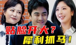 娱乐圈吃瓜吐槽博主小说,瓜田里的那些事儿